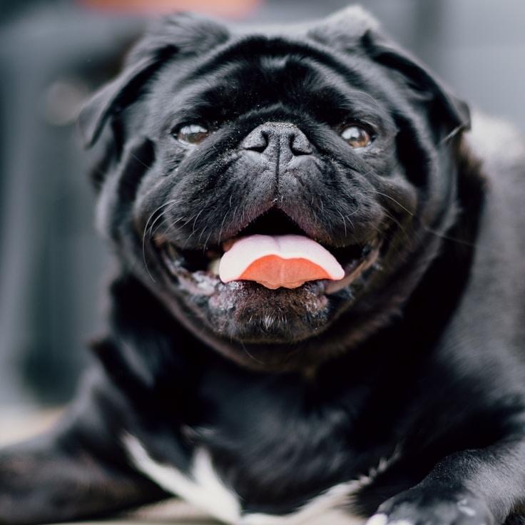 Rajiv Banerjee, Client Relations Director, discussing corporate gifting strategy with business clients